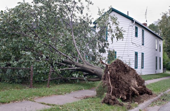 Wind Damage Repair for a Neighborhood in Munster, IN 